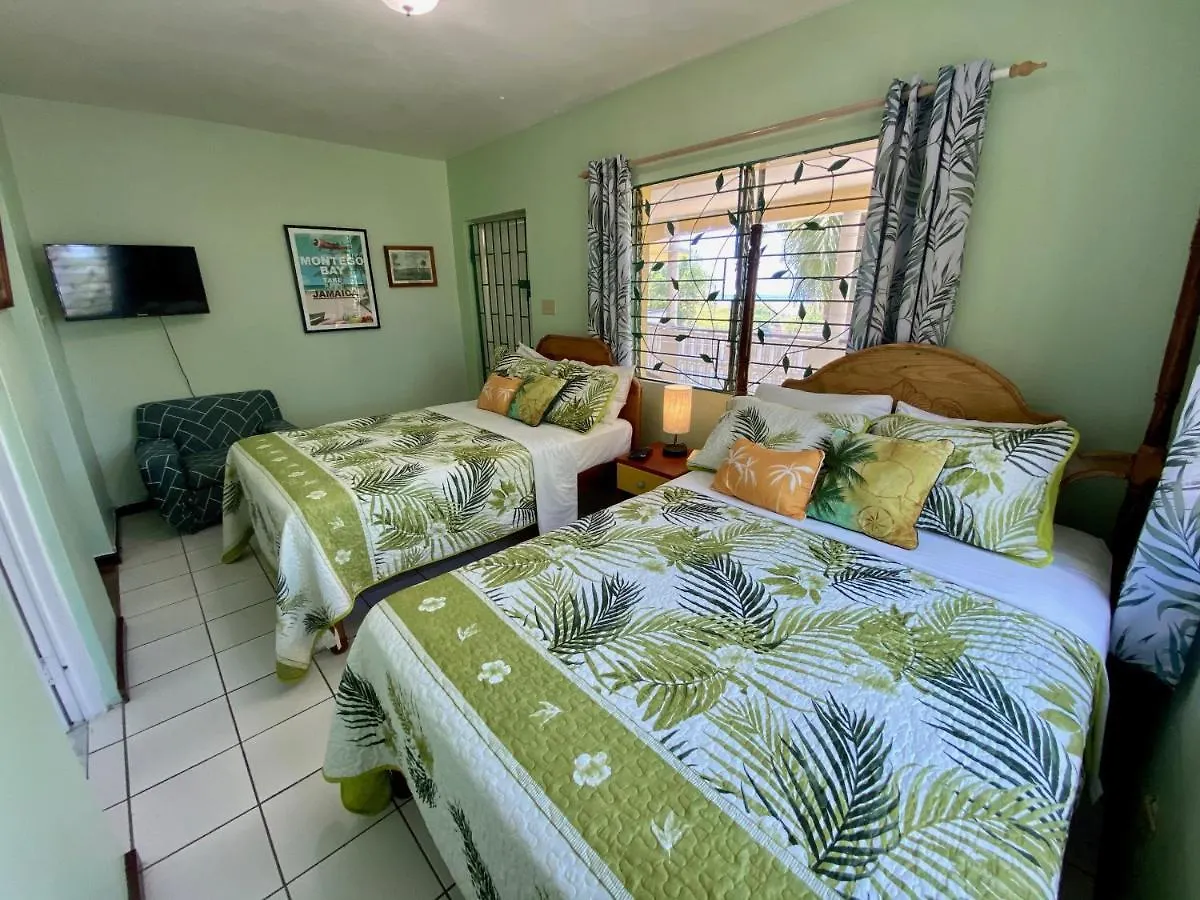 The Blue Orchid B&B Бухта Монтего 0*,  Ямайка
