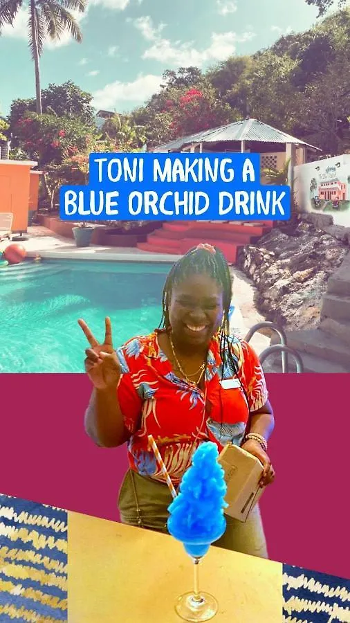 Bed & Breakfast The Blue Orchid B&B Montego Bay Jamaica