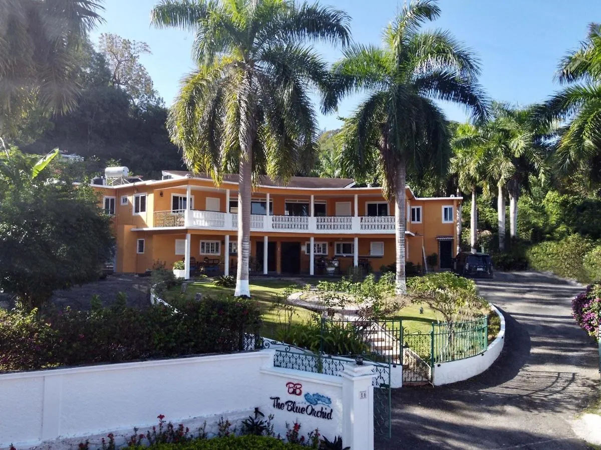 The Blue Orchid B&B Montego Bay 0*,  Jamaika