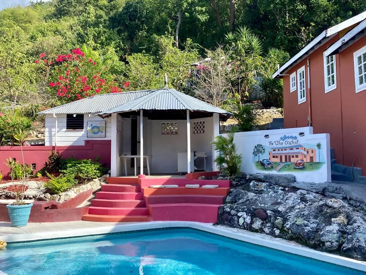 The Blue Orchid B&B Montego Bay Frühstückspension